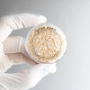Stemcell Japanese Star Sand | Conscious Craft